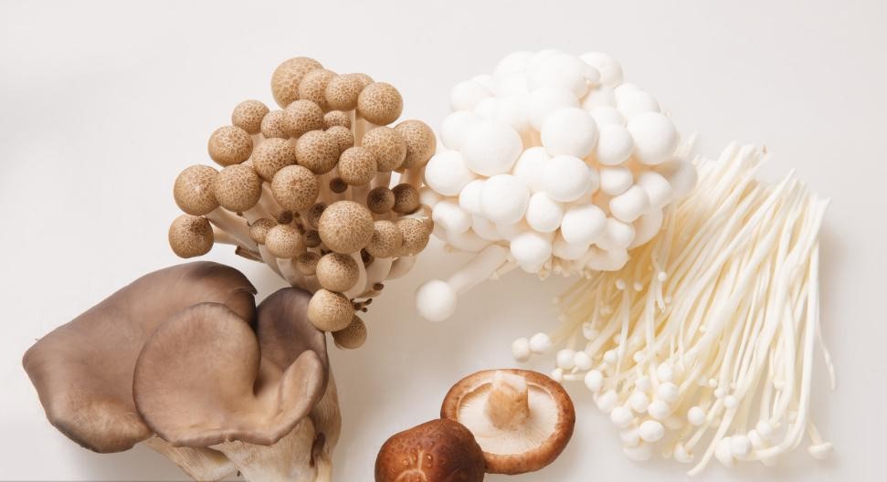 含麥角硫因的可食用菌類(lèi) 含麥角硫因的可食用菌類(lèi).jpg